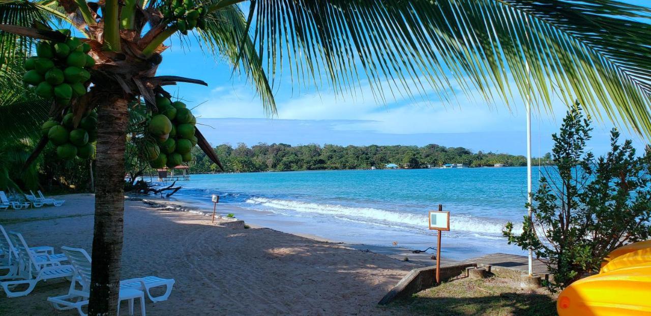 Playa Tortuga Hotel And Beach Resort Bocas Town Kültér fotó