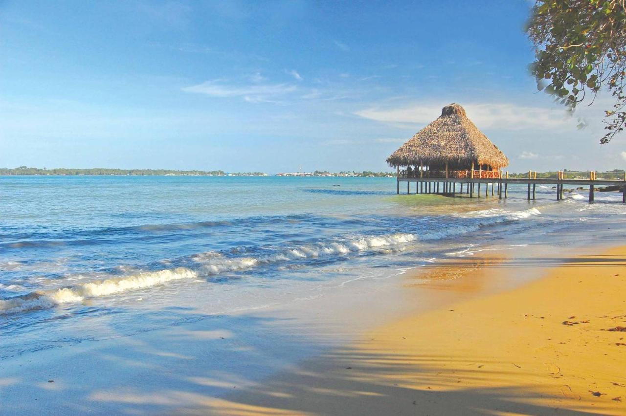 Playa Tortuga Hotel And Beach Resort Bocas Town Létesítmények fotó